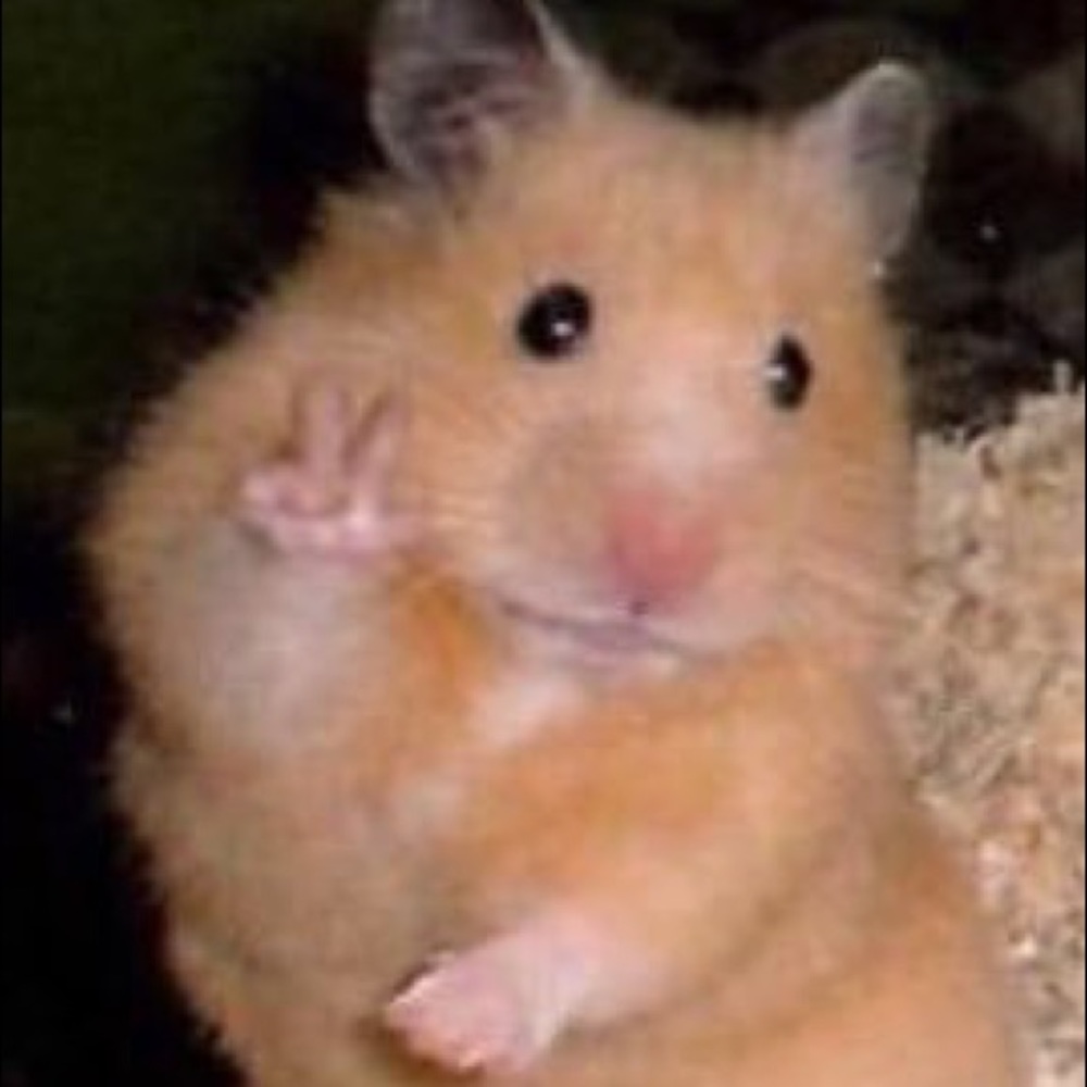 Meet your Posher, Wilm